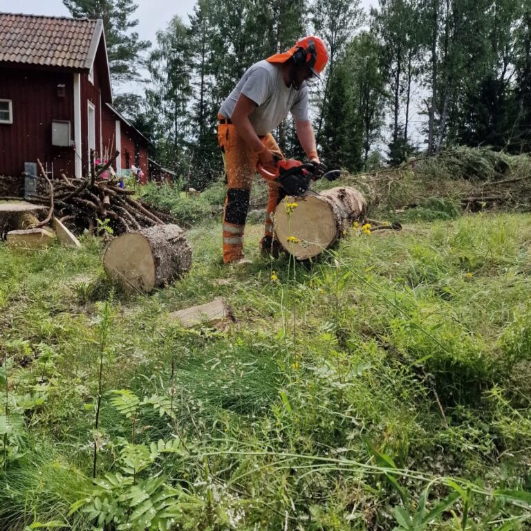 logging